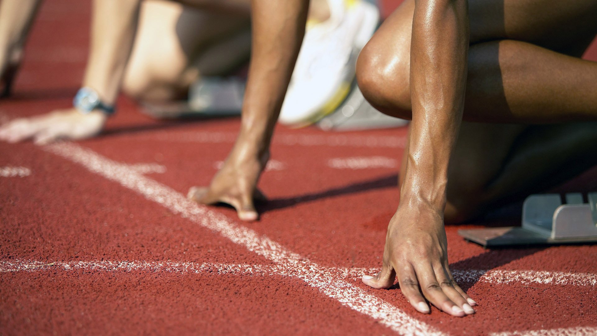 体育高校科研成果助力国家队备战,高校体育产业